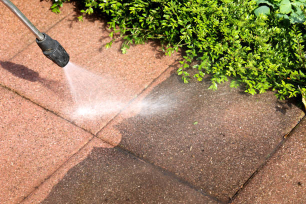 Best House Pressure Washing  in Woodville, TX